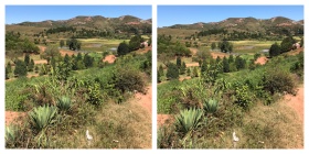 Landscape in Tana