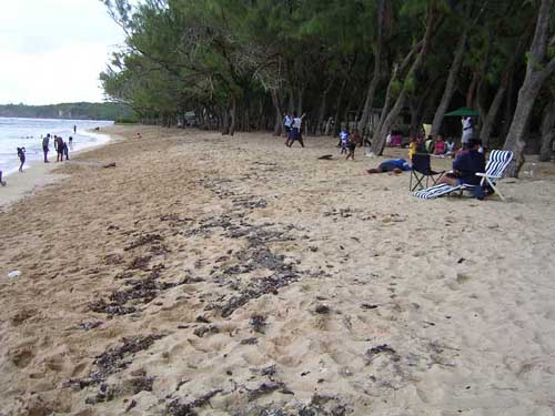 A lot of BBQ’ing on the beach