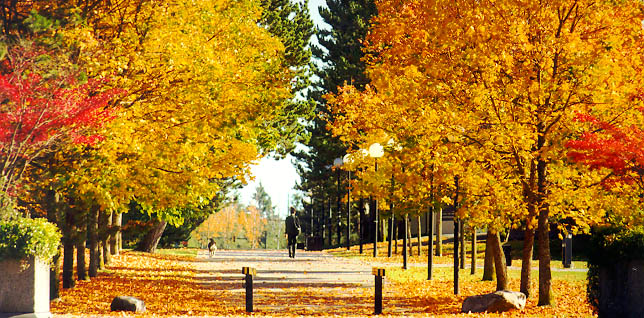 It’s fall again