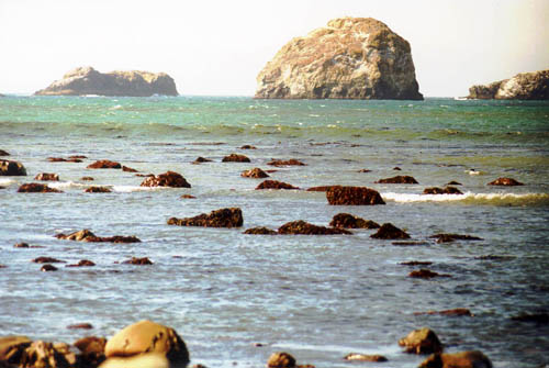 The Pacific coast (Oregon, US)