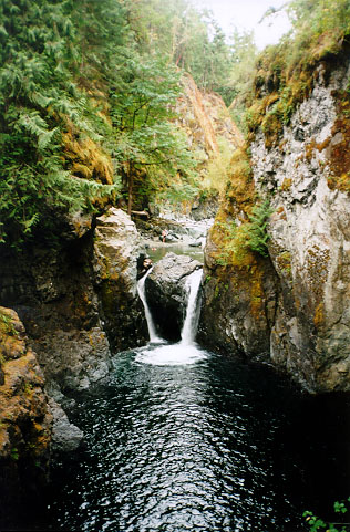 The Englishman River Falls Vancouver Island