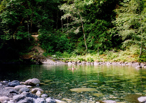 The Englishman River Falls Vancouver Island
