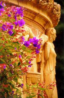 Flowers and a statue San Francisco, CA