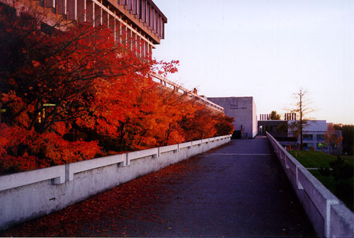 The Academic Quadrangle Simon Fraser University