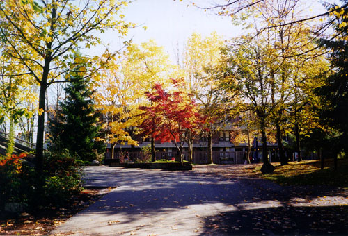 Fall, Shell House Simon Fraser University