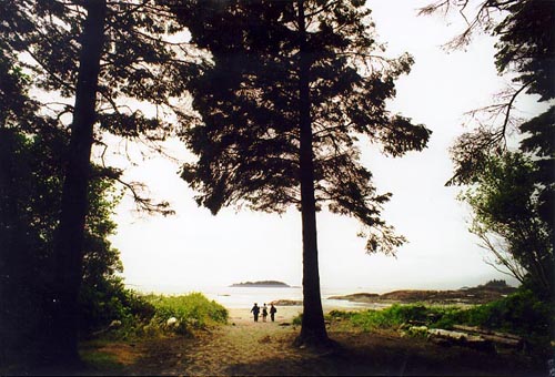 Chesterman Beach