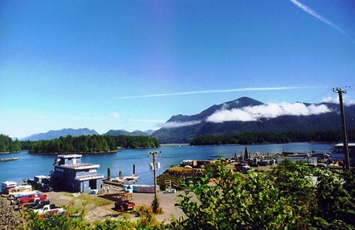 Finally, sunshine in Tofino
