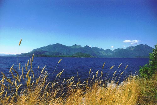Somewhere on Vancouver Island
