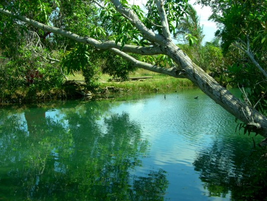 Sacred lake (“lac sacré de Mangatsa”)