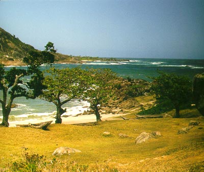 Evatra’s beach