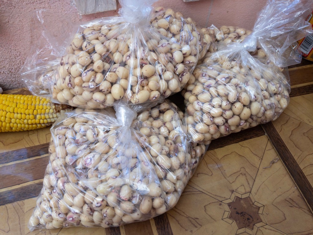 Raw (fresh) voanjobory (bambara beans)