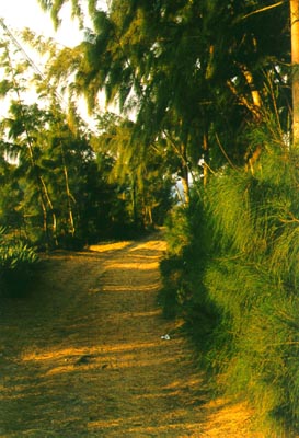 Some trail in Fort Dauphin