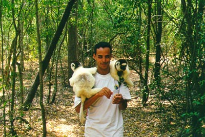 Sifaka attack