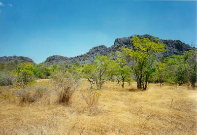Ankarana