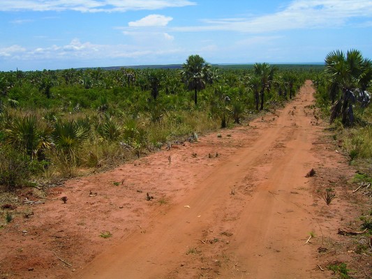 Red earth close to Majunga