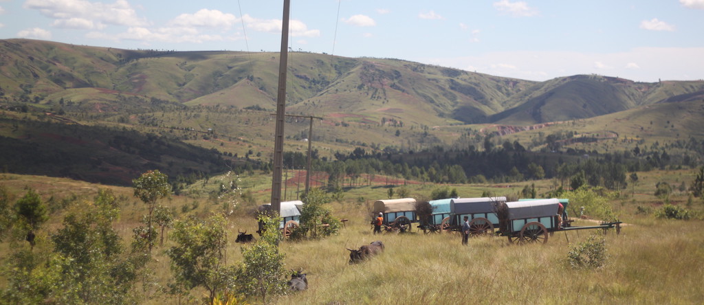 Farmers west of Tana