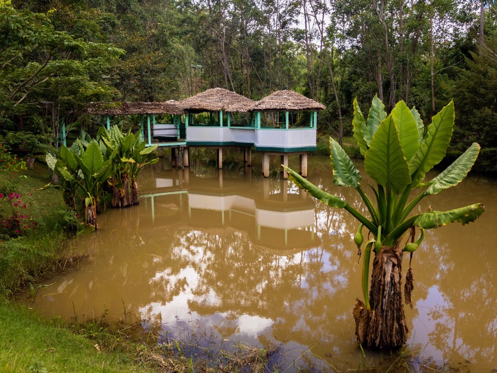 Andasibe hotel lake