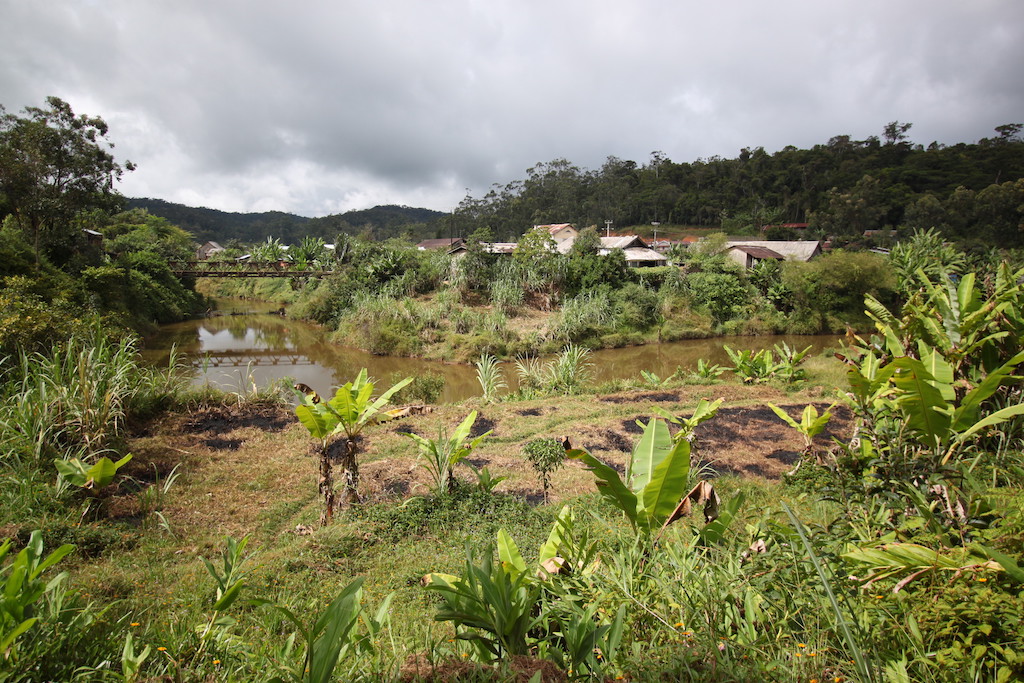 Andasibe landscape