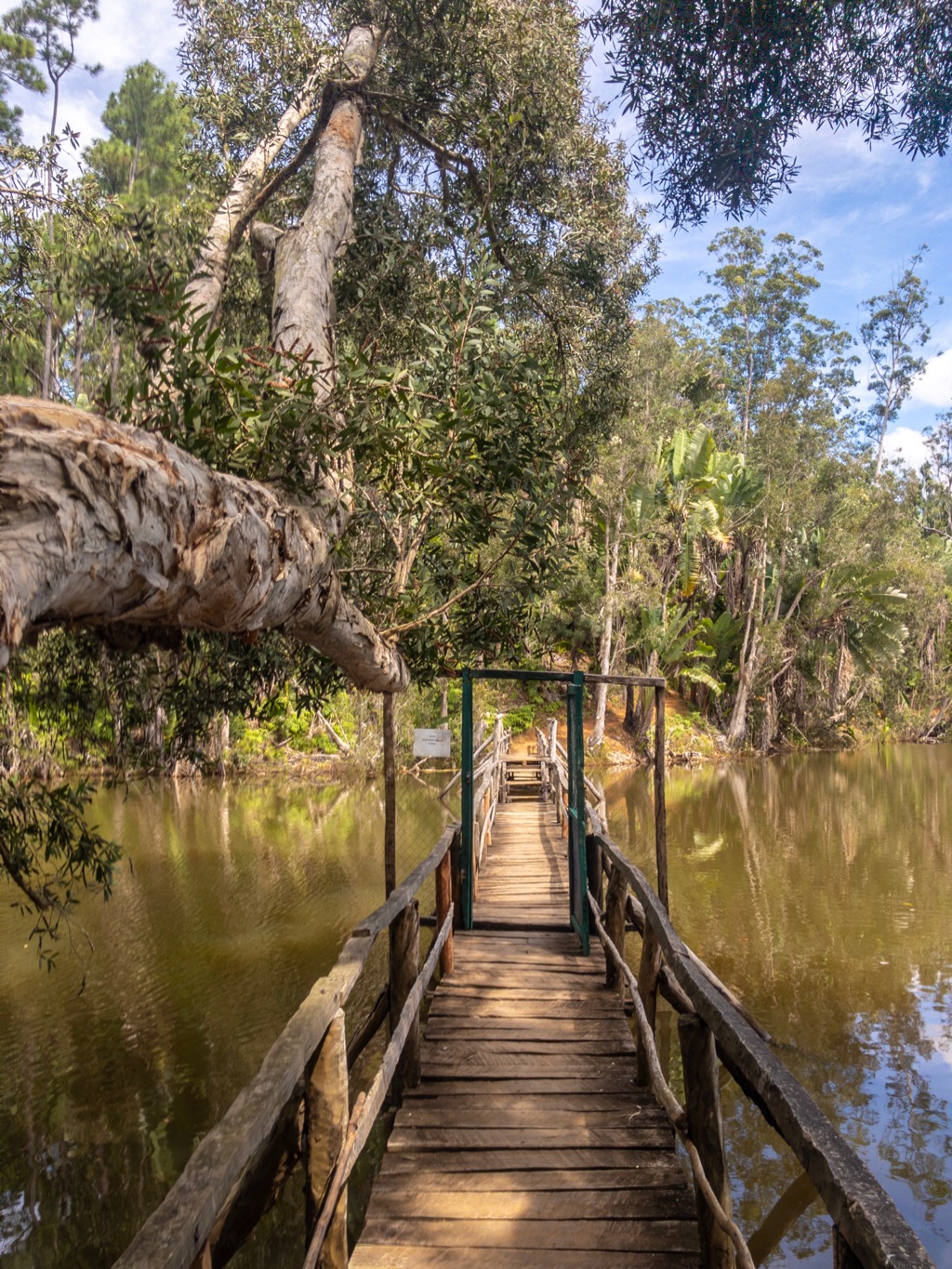 Bridge at Ivoloina