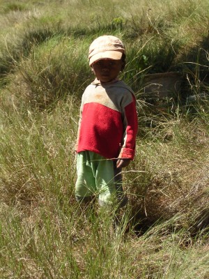 Tree planter’s child
