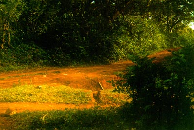 Red earth