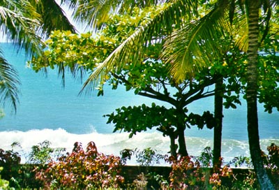 Hotel view
