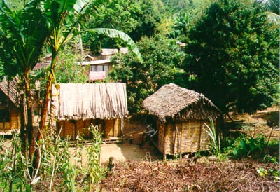 Houses in a vanilla village