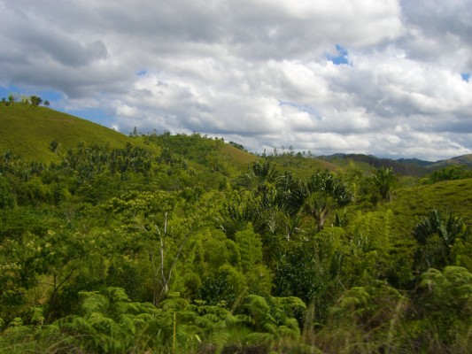 Landscape between Tana and Vatomandry