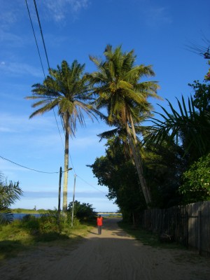 Along the river