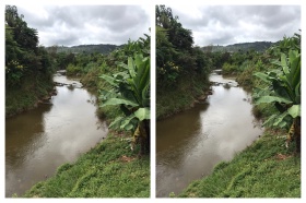 A river in Andasibe