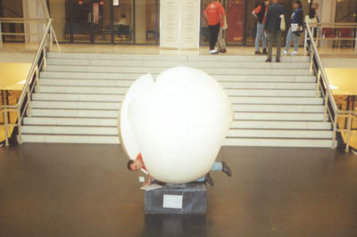 Or get caught in some piece of art.