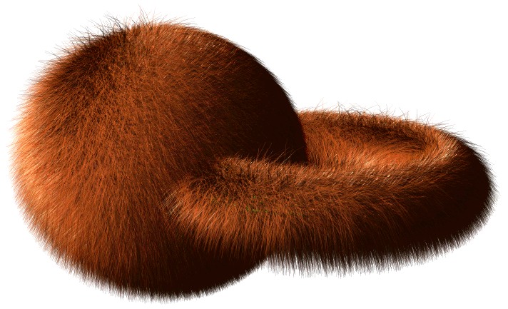 This ball and torus were used to test and benchmark the shading model. Regularly shaped objects are typically used to examine the shadow gradient and highlights.